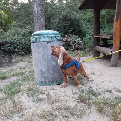 20220617_203523.jpeg