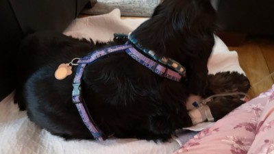 IMG-20220618-WA0012.jpeg