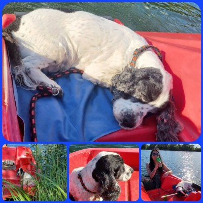 Ausnahmsweise mal Tretboot