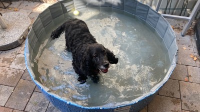 Endlich hab ich den Pool für mich