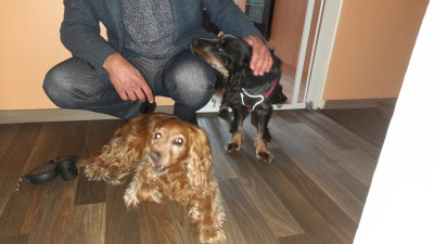 Mit seiner Hundeschwester Emma