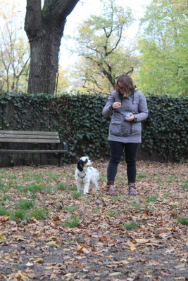 WhatsApp Image 2022-11-06 at 4.54.13 PM.jpeg