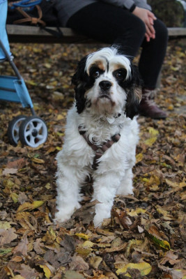 WhatsApp Image 2022-11-06 at 4.53.23 PM.jpeg