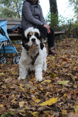 WhatsApp Image 2022-11-06 at 4.53.13 PM.jpeg