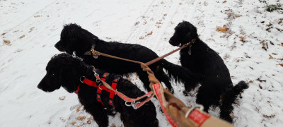 Heute im Schnee