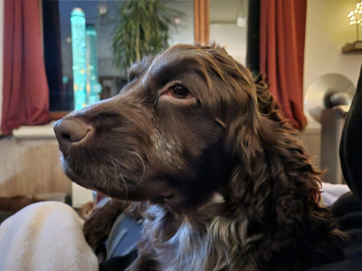 20230122_201318.jpg