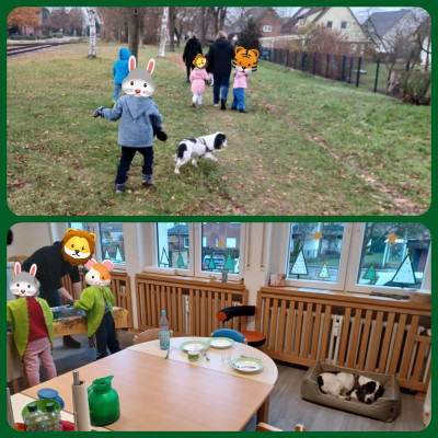 Mit Frauchen zusammen auf der Arbeit...