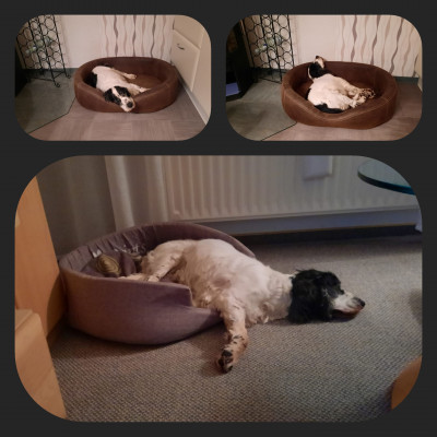 Besuch bei Oma und Opa..auch da lässt es sich gut schlafen...