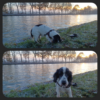 Frostige Grüße vom Kanal
