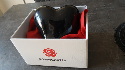 IMG_20230208_155020514.jpg (467.84 KiB) 8717 mal betrachtet Tina ist wieder Zuhause