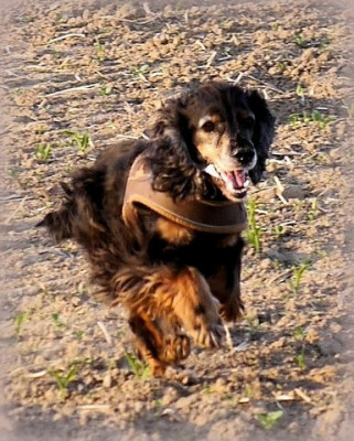 P1500797.JPG (82.09 KiB) 796 mal betrachtet P1500797.JPG