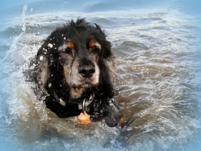 P1490097 (2).jpg (59.07 KiB) 799 mal betrachtet P1490097 (2).jpg