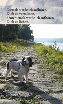 Screenshot_20220519-203343_Samsung Internet.jpg