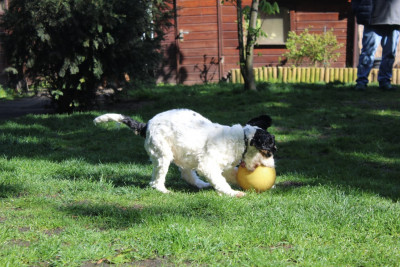 WhatsApp Image 2023-04-26 at 4.23.44 PM (1).jpeg