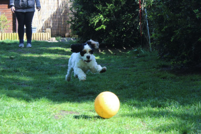 WhatsApp Image 2023-04-26 at 4.23.46 PM.jpeg