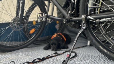 Fahrrad fahren ist ganz schön anstrengend..