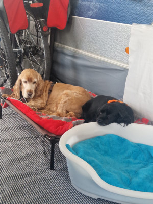 Aber mit meiner Freundin macht es auch Spaß…