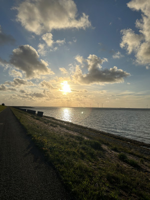 Letzte Abendrunde vorm schlafen herrlich…