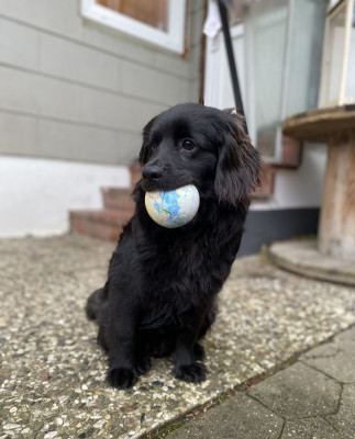 Screenshot_20231222_214910_WEBDE Mail.jpg