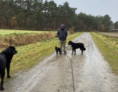 Screenshot_20231222_214932_WEBDE Mail.jpg