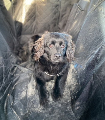 Screenshot_20231222_214904_WEBDE Mail.jpg