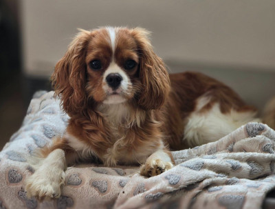 millie7.jpg